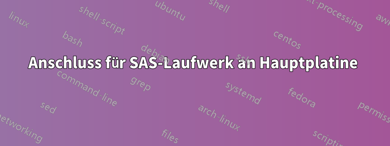 Anschluss für SAS-Laufwerk an Hauptplatine