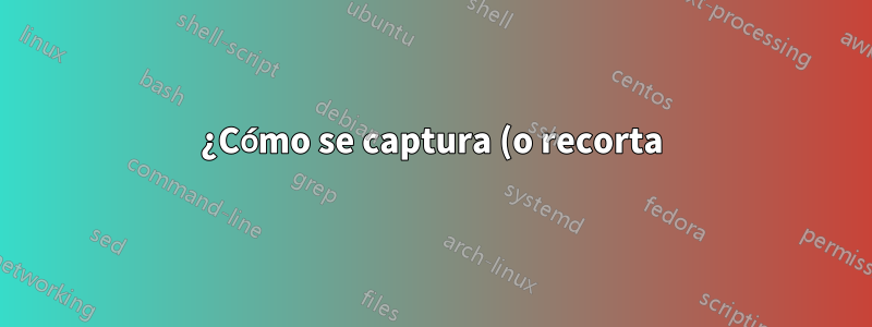 ¿Cómo se captura (o recorta) una página web que tiene protección?