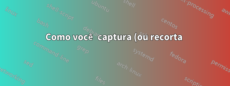 Como você captura (ou recorta) uma página da web que possui proteção?