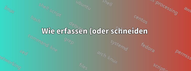 Wie erfassen (oder schneiden) Sie eine geschützte Webseite?