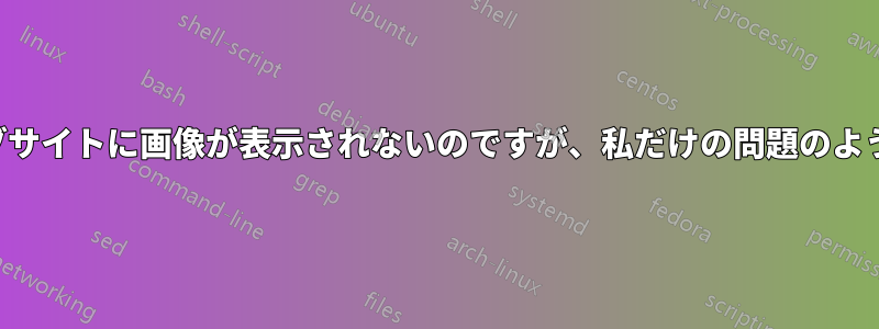 ウェブサイトに画像が表示されないのですが、私だけの問題のようです