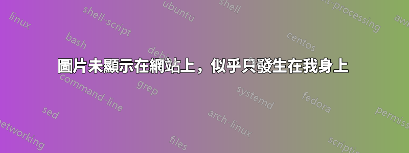 圖片未顯示在網站上，似乎只發生在我身上