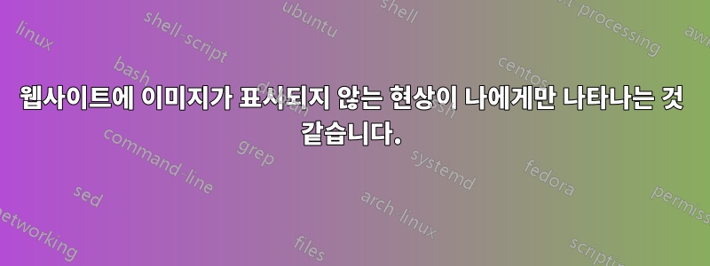 웹사이트에 이미지가 표시되지 않는 현상이 나에게만 나타나는 것 같습니다.