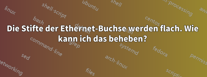 Die Stifte der Ethernet-Buchse werden flach. Wie kann ich das beheben?