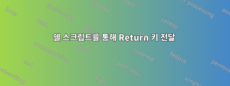 쉘 스크립트를 통해 Return 키 전달