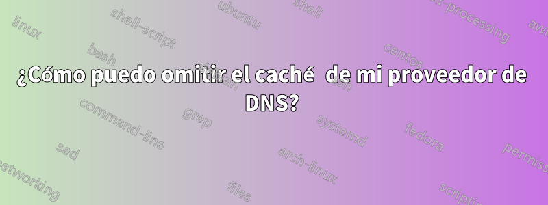 ¿Cómo puedo omitir el caché de mi proveedor de DNS?