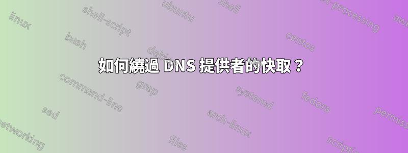 如何繞過 DNS 提供者的快取？