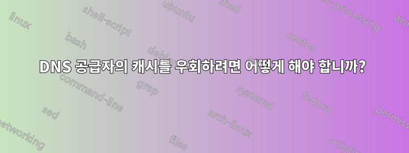 DNS 공급자의 캐시를 우회하려면 어떻게 해야 합니까?