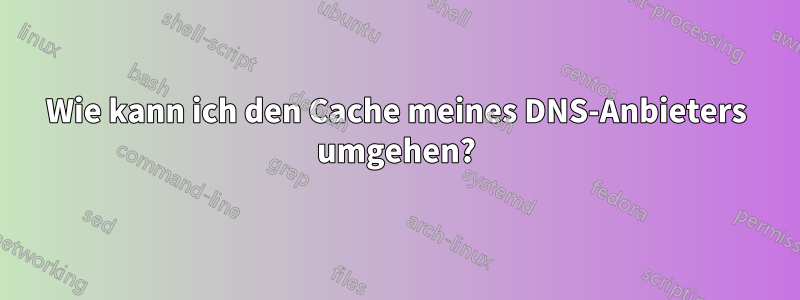 Wie kann ich den Cache meines DNS-Anbieters umgehen?