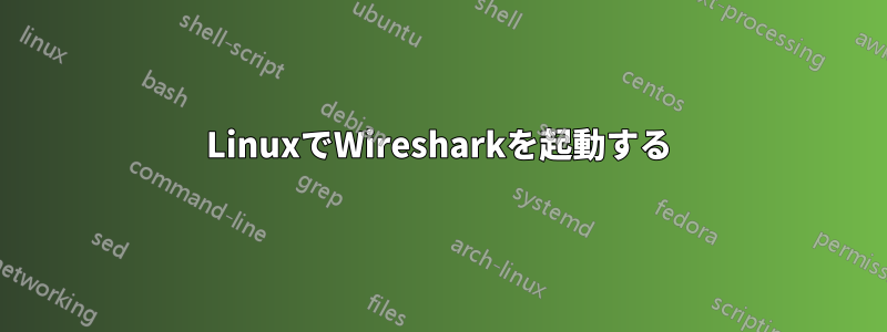LinuxでWiresharkを起動する