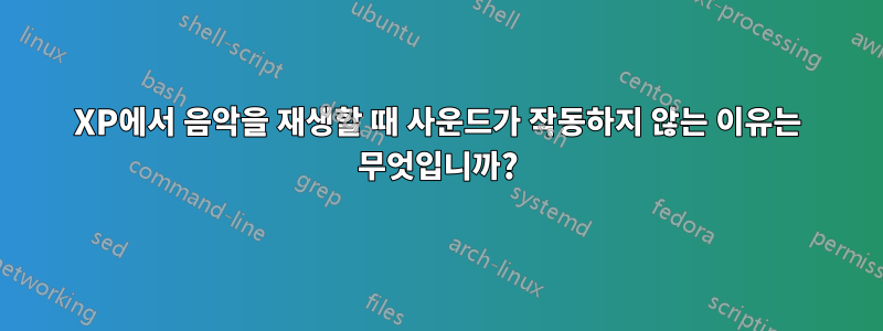 XP에서 음악을 재생할 때 사운드가 작동하지 않는 이유는 무엇입니까?