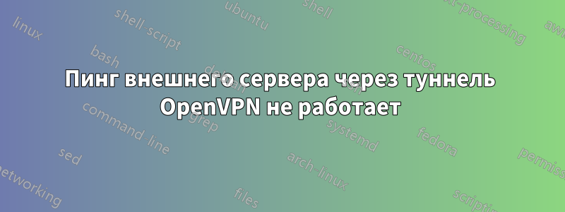 Пинг внешнего сервера через туннель OpenVPN не работает