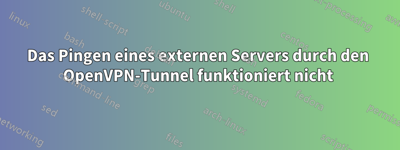Das Pingen eines externen Servers durch den OpenVPN-Tunnel funktioniert nicht