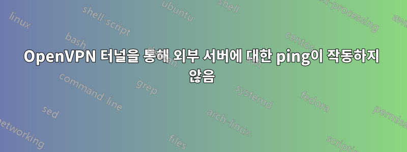 OpenVPN 터널을 통해 외부 서버에 대한 ping이 작동하지 않음