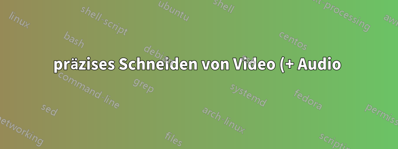 präzises Schneiden von Video (+ Audio) mit ffmpeg