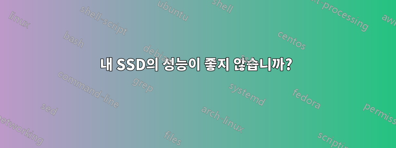 내 SSD의 성능이 좋지 않습니까?