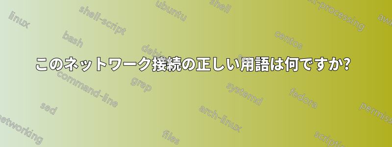 このネットワーク接続の正しい用語は何ですか? 