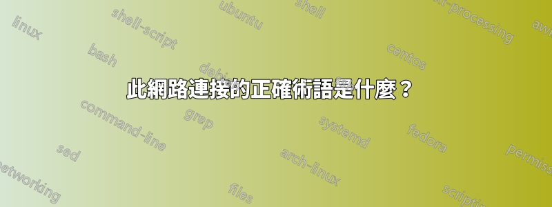 此網路連接的正確術語是什麼？ 