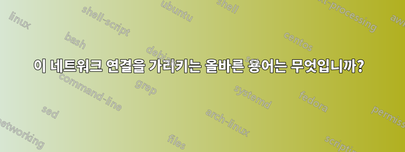 이 네트워크 연결을 가리키는 올바른 용어는 무엇입니까? 