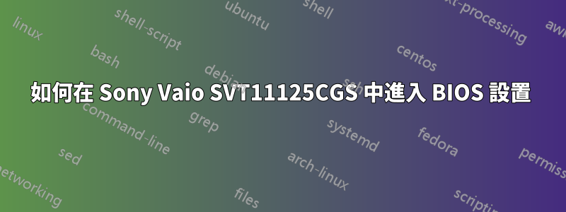 如何在 Sony Vaio SVT11125CGS 中進入 BIOS 設置