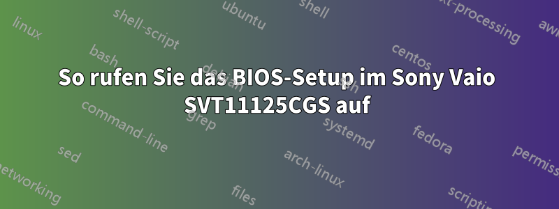 So rufen Sie das BIOS-Setup im Sony Vaio SVT11125CGS auf