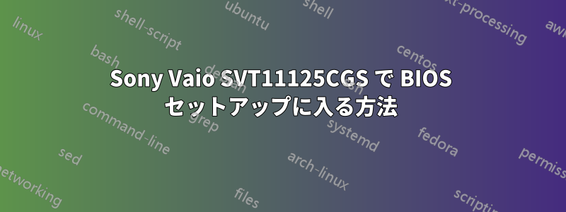 Sony Vaio SVT11125CGS で BIOS セットアップに入る方法