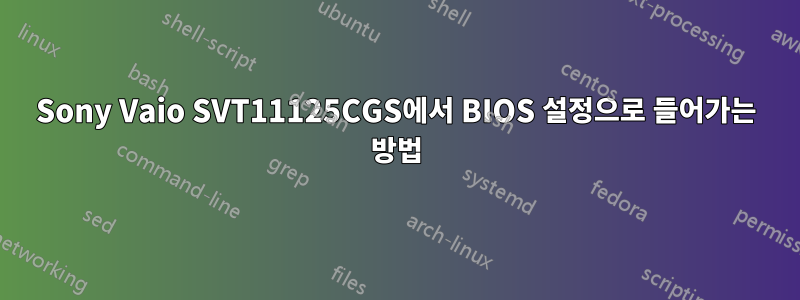 Sony Vaio SVT11125CGS에서 BIOS 설정으로 들어가는 방법