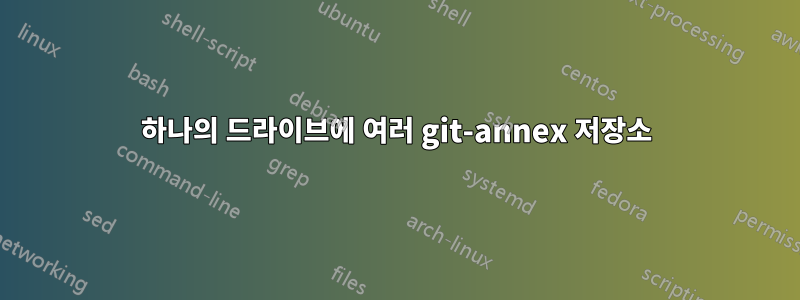 하나의 드라이브에 여러 git-annex 저장소