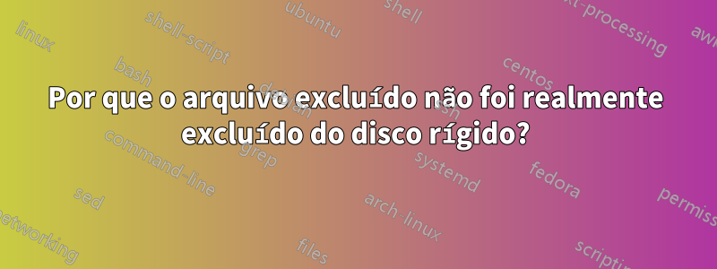 Por que o arquivo excluído não foi realmente excluído do disco rígido?