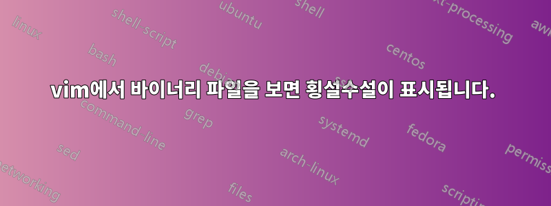 vim에서 바이너리 파일을 보면 횡설수설이 표시됩니다.