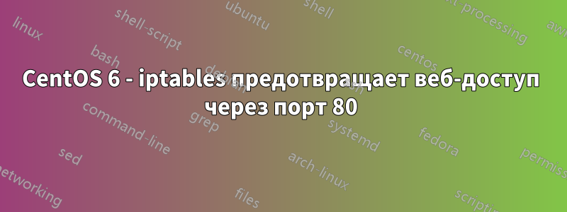 CentOS 6 - iptables предотвращает веб-доступ через порт 80