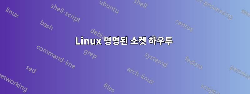 Linux 명명된 소켓 하우투