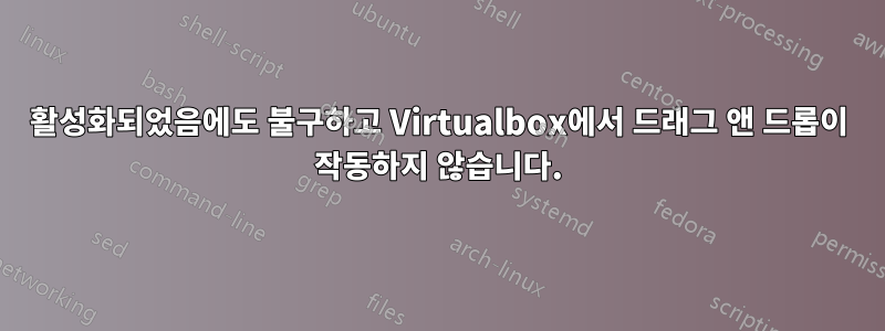 활성화되었음에도 불구하고 Virtualbox에서 드래그 앤 드롭이 작동하지 않습니다.