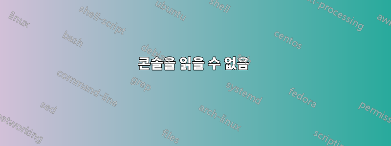 콘솔을 읽을 수 없음