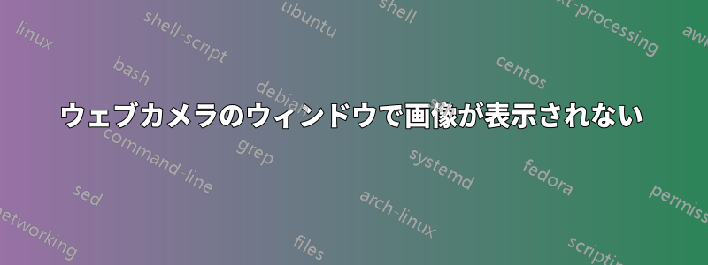 ウェブカメラのウィンドウで画像が表示されない