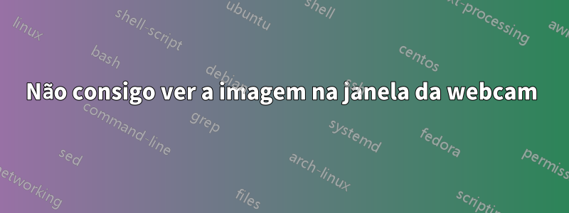 Não consigo ver a imagem na janela da webcam