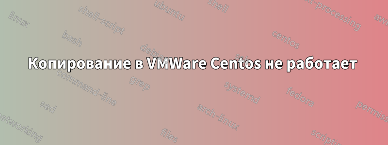 Копирование в VMWare Centos не работает