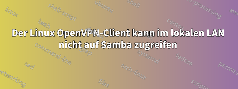 Der Linux OpenVPN-Client kann im lokalen LAN nicht auf Samba zugreifen