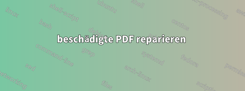 beschädigte PDF reparieren