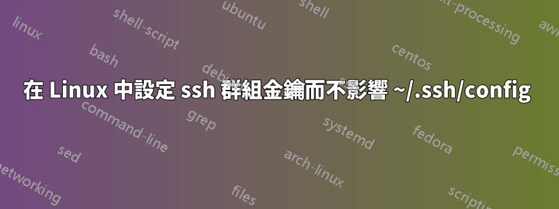 在 Linux 中設定 ssh 群組金鑰而不影響 ~/.ssh/config