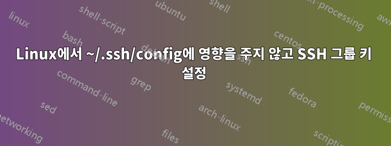 Linux에서 ~/.ssh/config에 영향을 주지 않고 SSH 그룹 키 설정