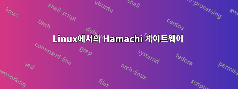 Linux에서의 Hamachi 게이트웨이