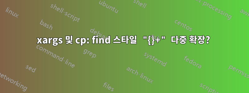 xargs 및 cp: find 스타일 "{}+" 다중 확장?