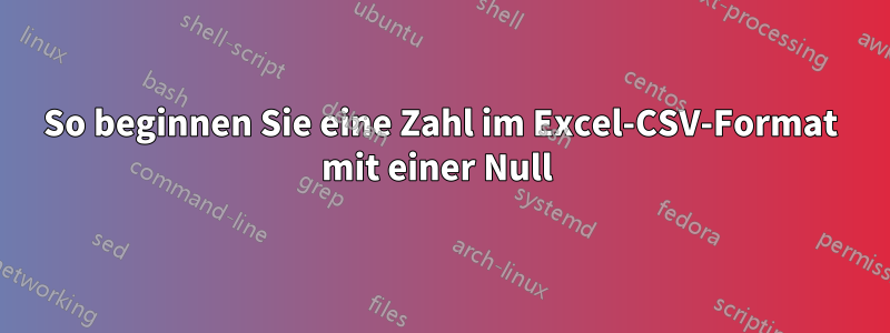 So beginnen Sie eine Zahl im Excel-CSV-Format mit einer Null 