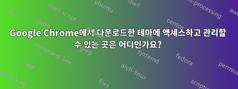 Google Chrome에서 다운로드한 테마에 액세스하고 관리할 수 있는 곳은 어디인가요?