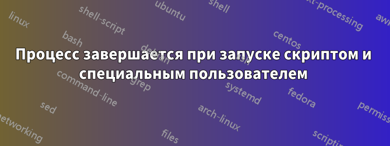 Процесс завершается при запуске скриптом и специальным пользователем