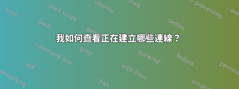 我如何查看正在建立哪些連線？