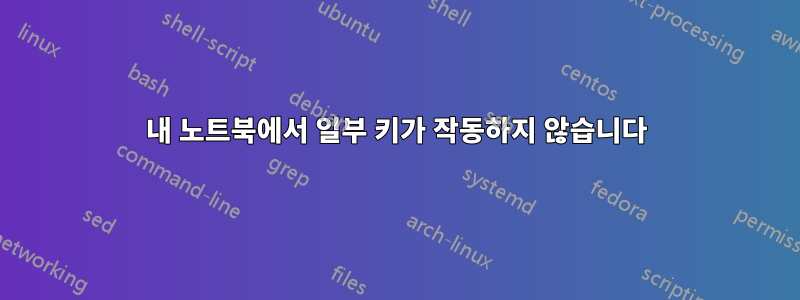 내 노트북에서 일부 키가 작동하지 않습니다