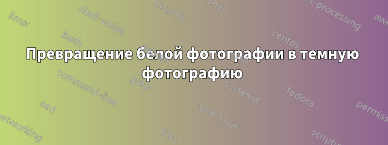 Превращение белой фотографии в темную фотографию