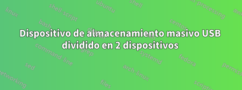 Dispositivo de almacenamiento masivo USB dividido en 2 dispositivos